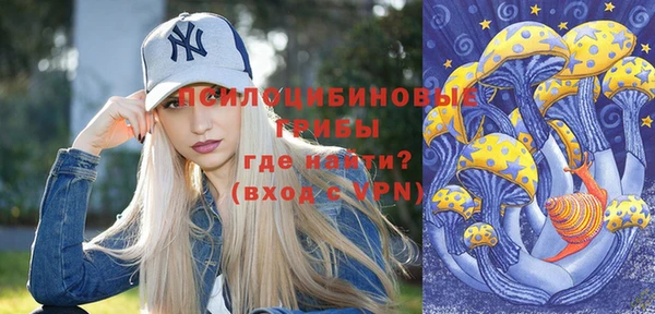 прущие грибы Володарск