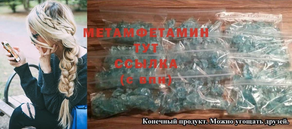 прущие грибы Володарск