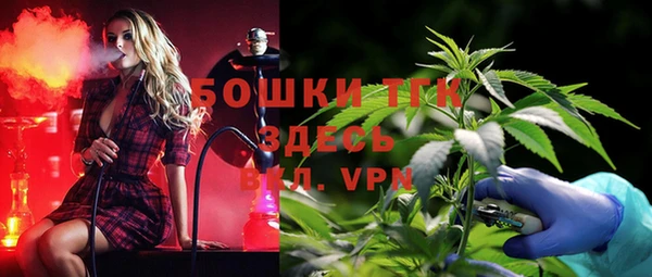 прущие грибы Володарск